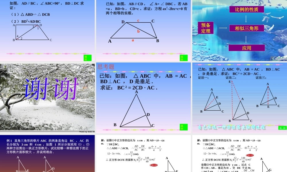 相似形全章复习3[1]