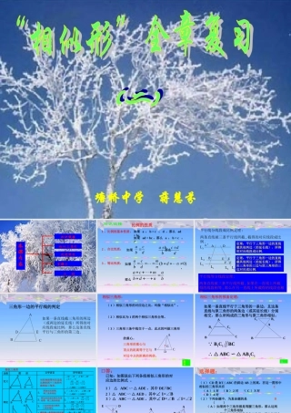 相似形全章复习3[1]