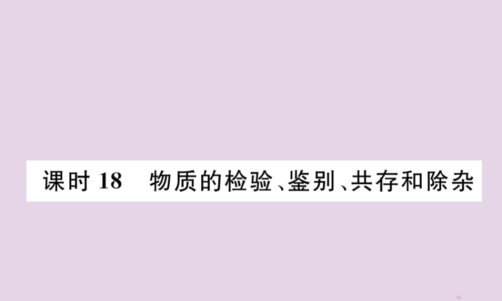 中考化学总复习 第1编 主题复习 模块5 科学探究 课时18 物质的检验、鉴别、共存和除杂(精讲)课件