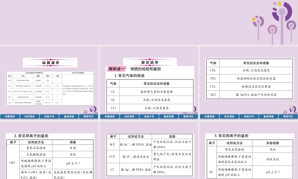 中考化学总复习 第1编 主题复习 模块5 科学探究 课时18 物质的检验、鉴别、共存和除杂(精讲)课件