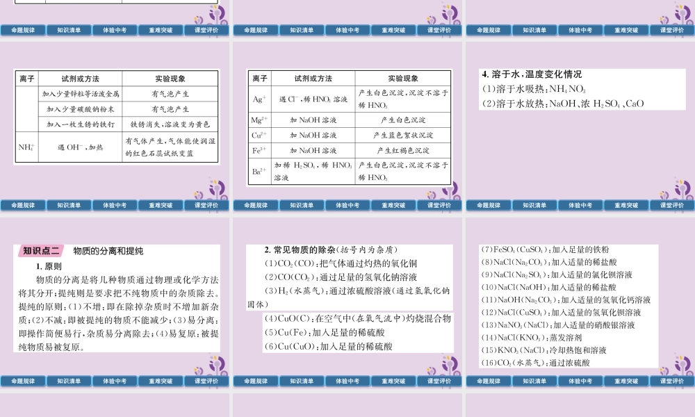 中考化学总复习 第1编 主题复习 模块5 科学探究 课时18 物质的检验、鉴别、共存和除杂(精讲)课件