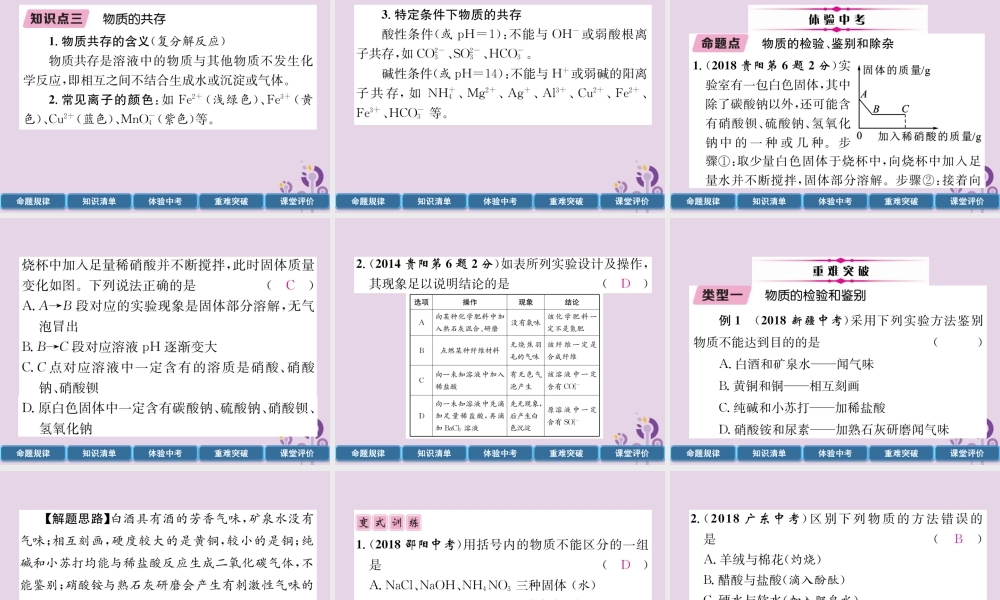 中考化学总复习 第1编 主题复习 模块5 科学探究 课时18 物质的检验、鉴别、共存和除杂(精讲)课件
