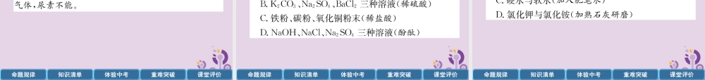 中考化学总复习 第1编 主题复习 模块5 科学探究 课时18 物质的检验、鉴别、共存和除杂(精讲)课件