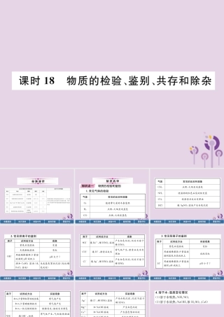 中考化学总复习 第1编 主题复习 模块5 科学探究 课时18 物质的检验、鉴别、共存和除杂(精讲)课件