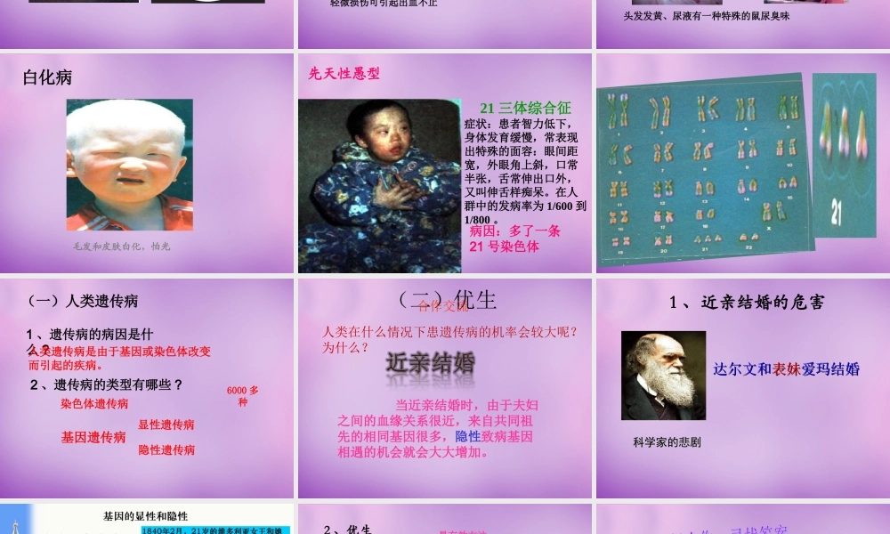 八年级生物上册 第四单元 第四章 第五节 人类优生与基因组计划课件 (新版)济南版 课件