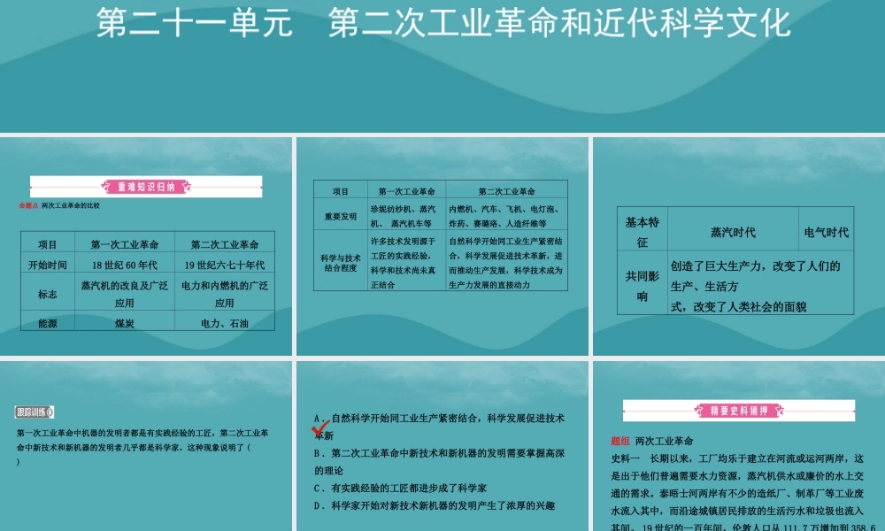 中考历史复习 第二十一单元 第二次工业革命和近代科学文化课件