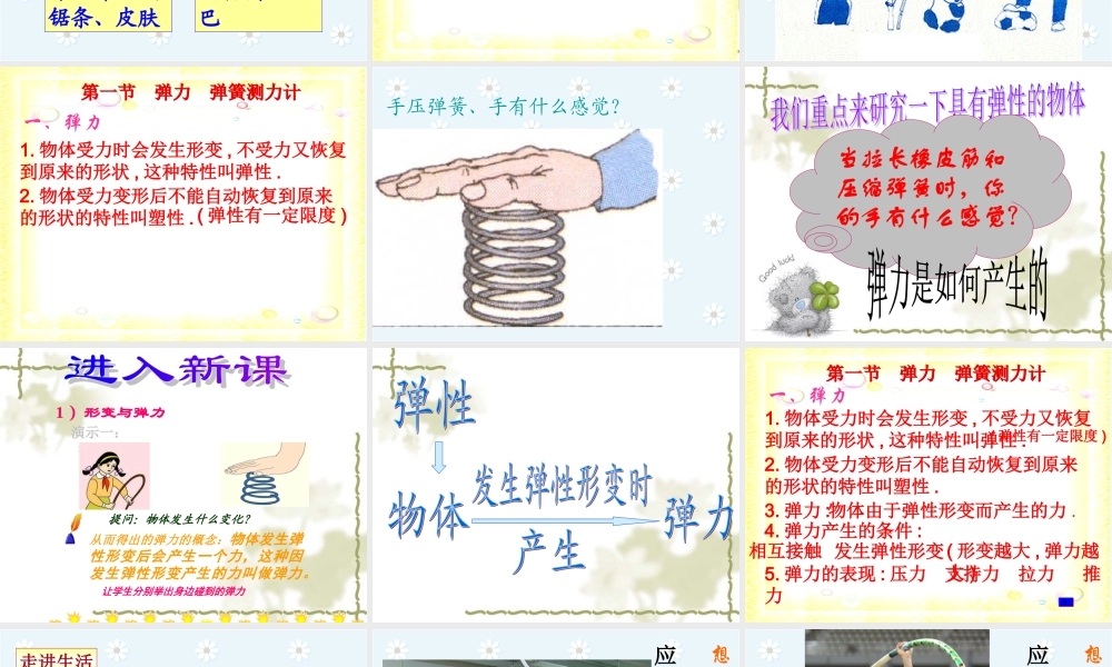 《弹簧测力计》pp课件