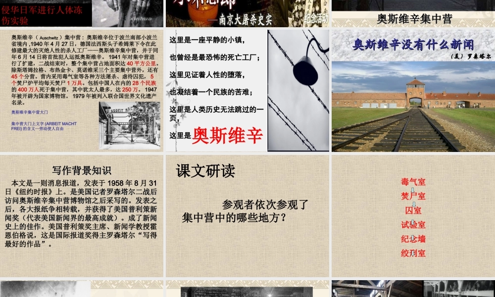 奥斯维辛没有新闻