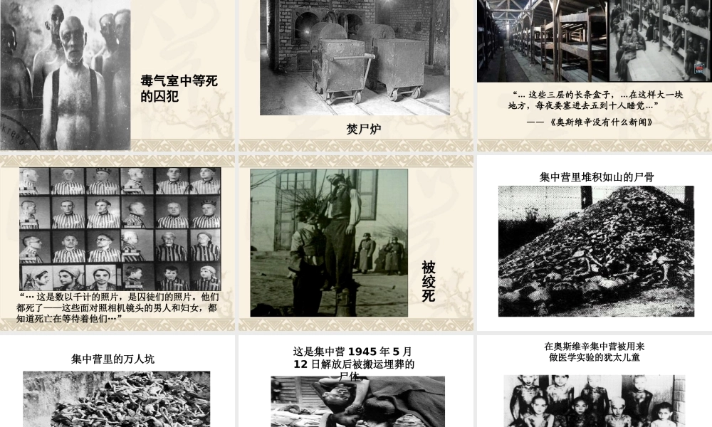 奥斯维辛没有新闻