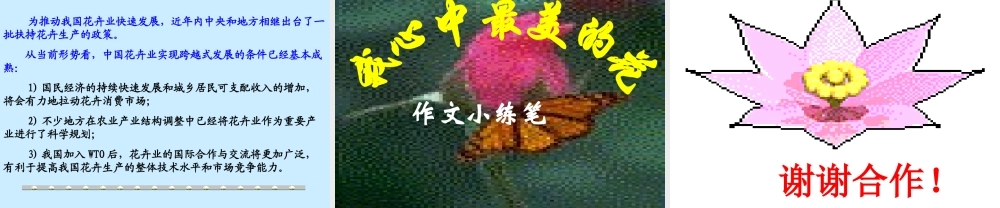 八年级语文送你一束转基因花课件 苏教版 课件