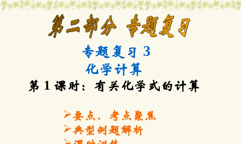 中考化学有关化学式的计算复习课件