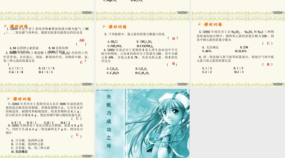 中考化学有关化学式的计算复习课件