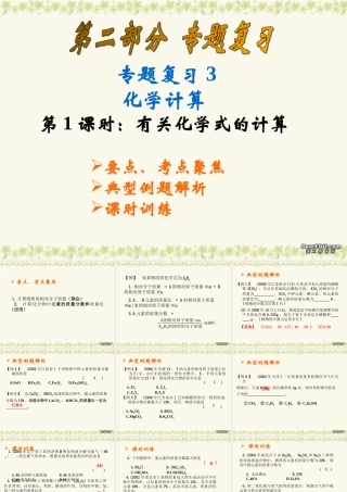 中考化学有关化学式的计算复习课件
