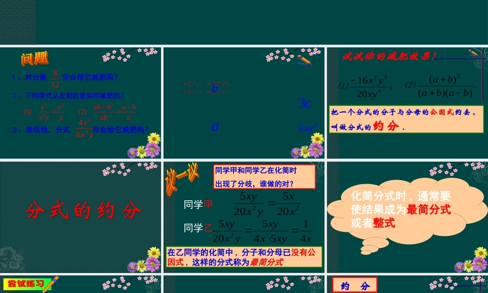 八年级数学下册 8.1分式第1课时课件 苏科版 课件