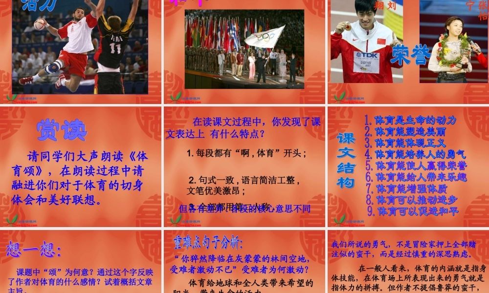 《体育颂》课件