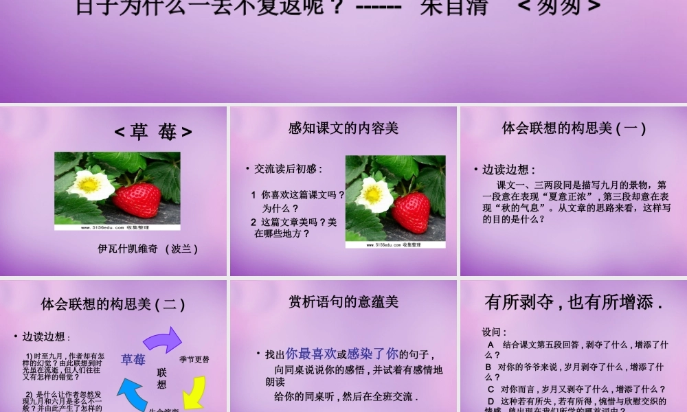 九年级语文上册 4 草莓课件1 语文版 课件