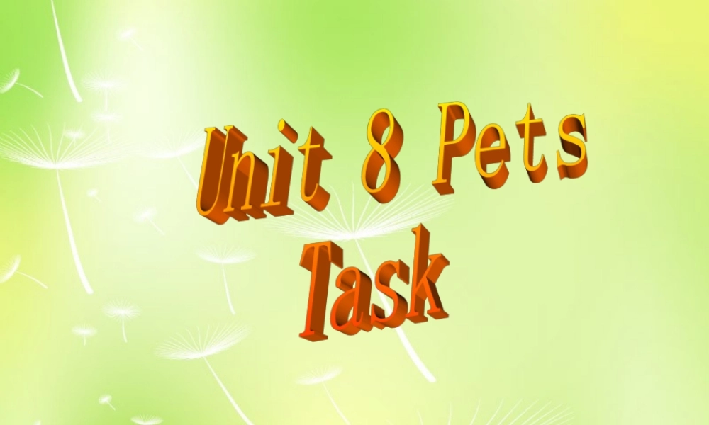 中学七年级英语下册 Unit 8 Pets Task课件 (新版)牛津版 课件