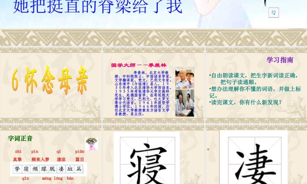 六年级语文上怀念母亲[1]