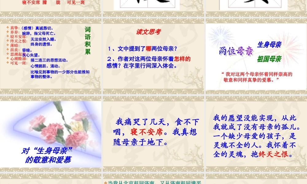 六年级语文上怀念母亲[1]