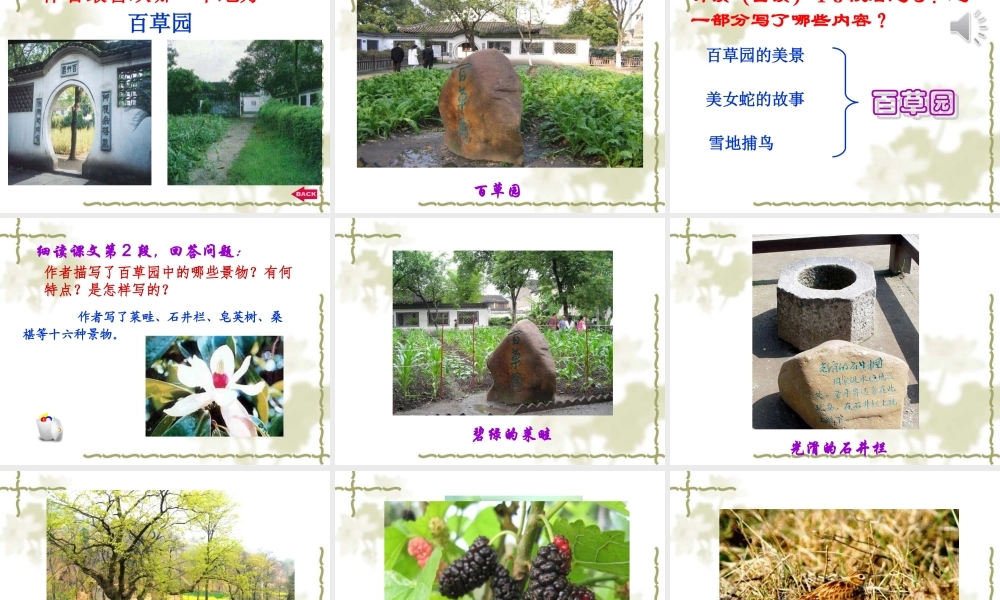 《从百草园到三味书屋》课件（好）