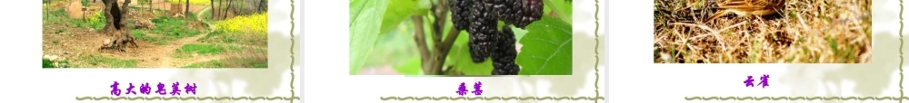 《从百草园到三味书屋》课件（好）
