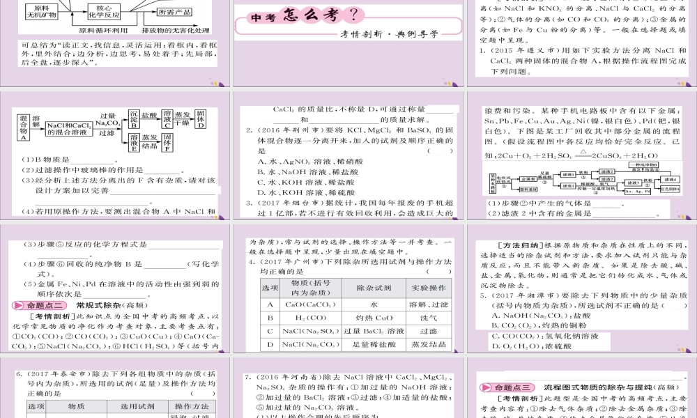 中考化学总复习 第二轮 专题训练 提升能力 专题四 物质的分离与除杂课件