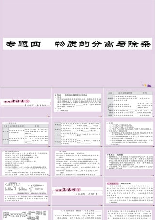 中考化学总复习 第二轮 专题训练 提升能力 专题四 物质的分离与除杂课件