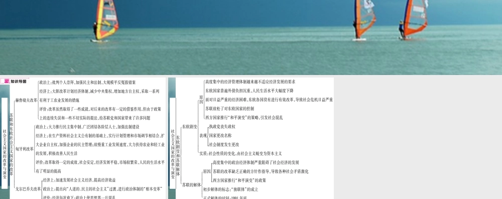 九年级历史下册 第五单元 社会主义国家的改革与演变小结作业课件 岳麓版 课件