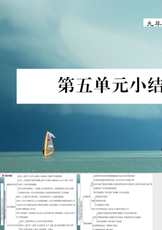 九年级历史下册 第五单元 社会主义国家的改革与演变小结作业课件 岳麓版 课件