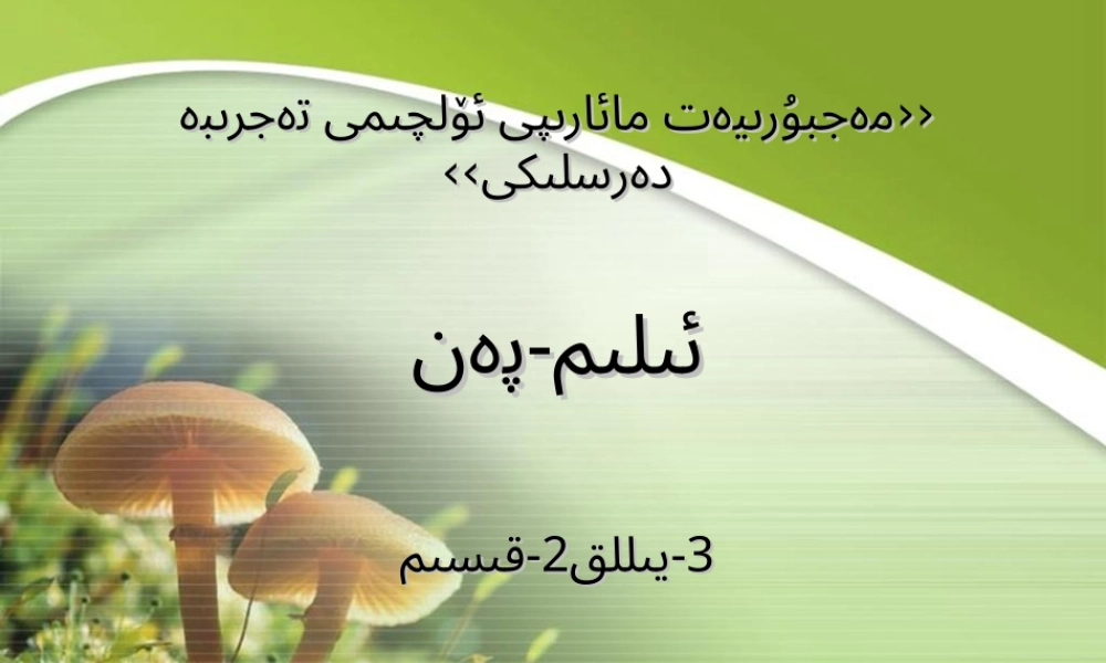 科学小学三年级上册植物的生命种子的发芽