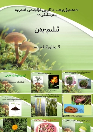 科学小学三年级上册植物的生命种子的发芽