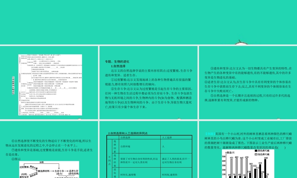 八年级生物上册 第十六章 生命起源和生物进化整合课件 (新版)苏教版 课件