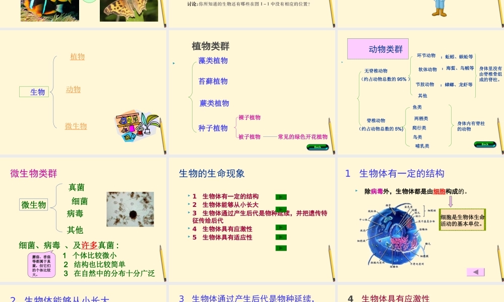 七年级生物上册(周围的生物世界)课件 苏教版 课件