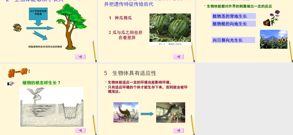 七年级生物上册(周围的生物世界)课件 苏教版 课件