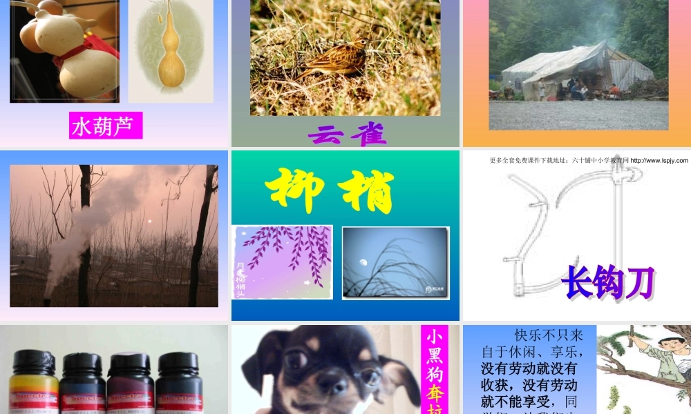 人教版小学语文三年级上册《槐乡的孩子》PPT课件