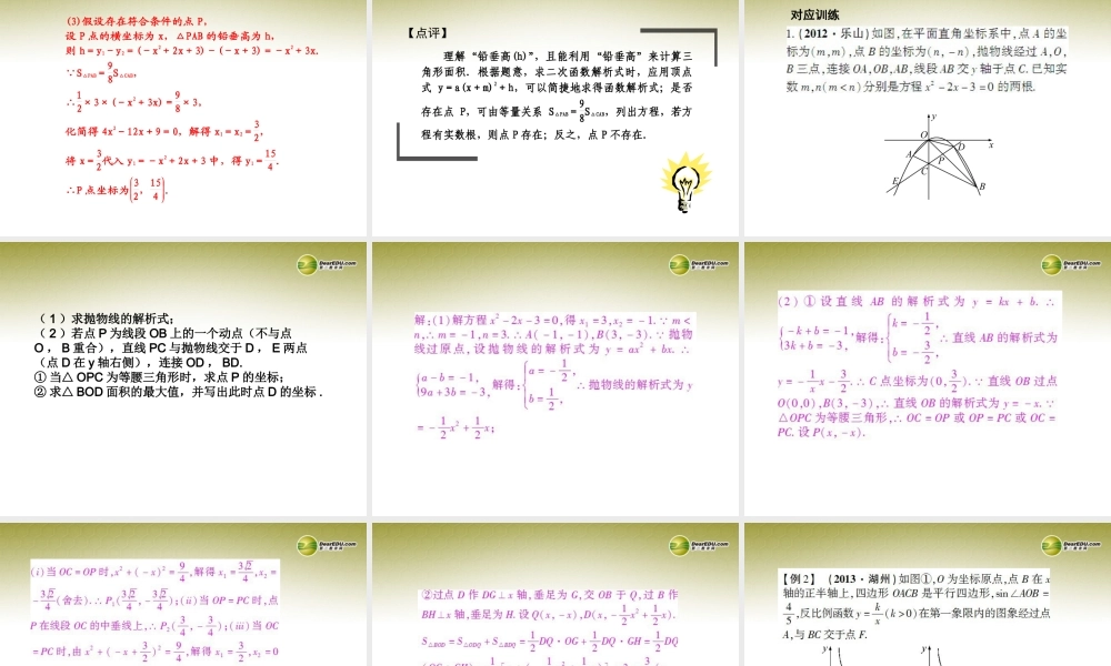 中考数学 专题 方程、函数与几何相结合型综合问题题型专讲专练课件(12、13真题为例)  课件