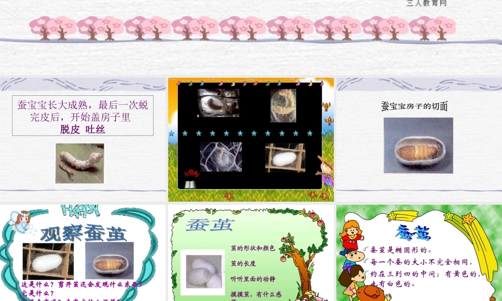 （鄂教版）三年级科学下册《蚕宝宝建新房》教学课件1