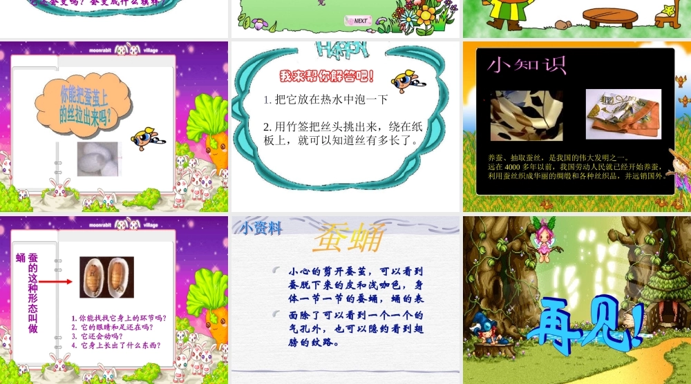 （鄂教版）三年级科学下册《蚕宝宝建新房》教学课件1