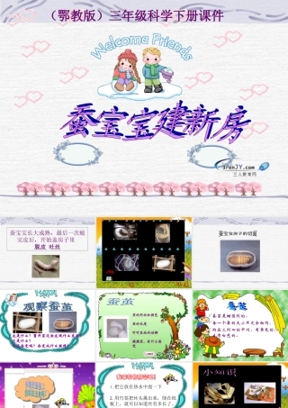 （鄂教版）三年级科学下册《蚕宝宝建新房》教学课件1