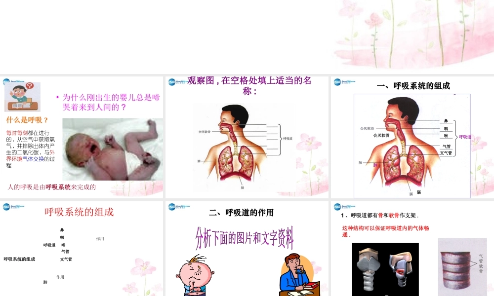 中学七年级生物下册 第三章 第一节 呼吸道对空气的处理课件 (新版)新人教版 课件