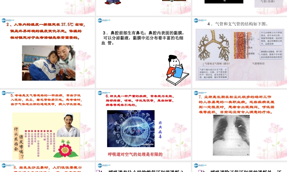 中学七年级生物下册 第三章 第一节 呼吸道对空气的处理课件 (新版)新人教版 课件