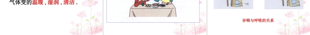 中学七年级生物下册 第三章 第一节 呼吸道对空气的处理课件 (新版)新人教版 课件