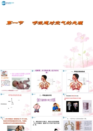 中学七年级生物下册 第三章 第一节 呼吸道对空气的处理课件 (新版)新人教版 课件