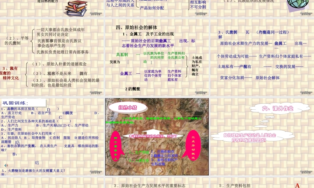 九年级政治复习课件 原始社会是人类的最初发展街道 人教版 课件