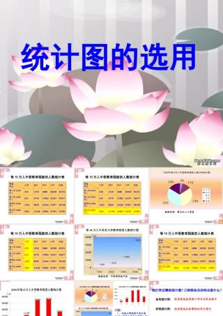 北京市数学课件竞赛 统计图的选用 北师大版 课件