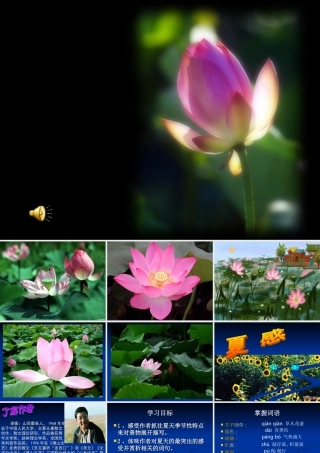 七年级语文上第三单元第13课(夏感)课件人教版 课件