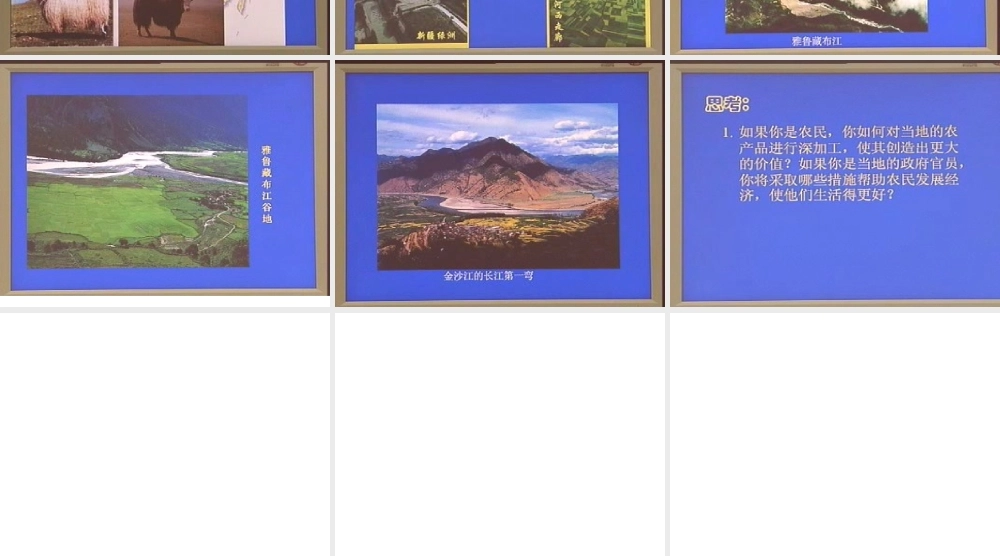 初二生物课件 西北和青藏 课件