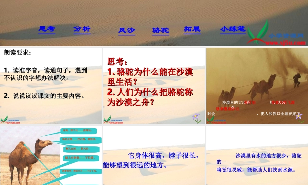 北师大版四年级语文下册《沙漠之舟1》PPT课件