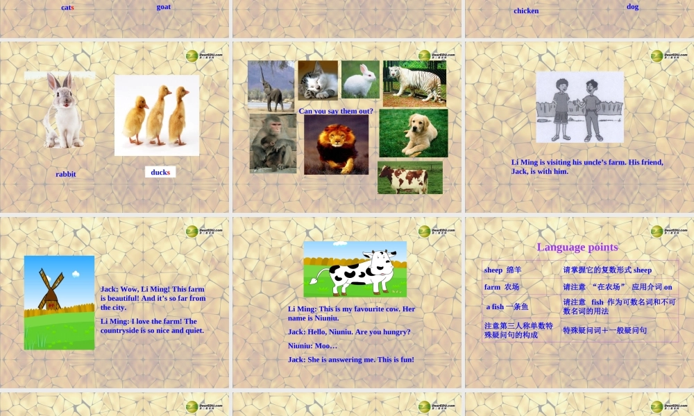 2013年七年级英语上册Unit6Let’sGo！Lesson34OntheFarm课件（新版）冀教版