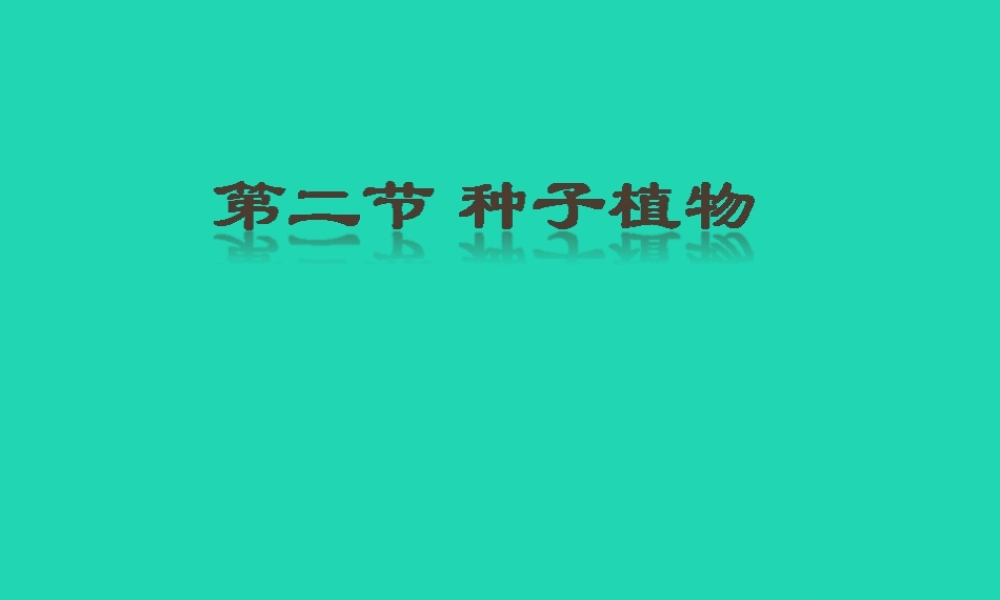 七年级生物上册 3.1.2种子植物课件 (新版)新人教版 课件